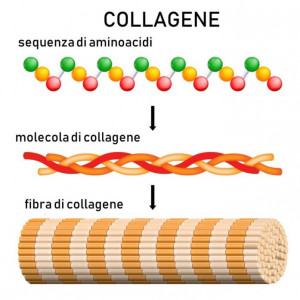 collagene-1-300x300.jpg