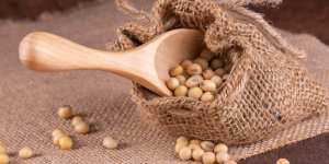 fitoestrogei: la natura a supporto della menopausa